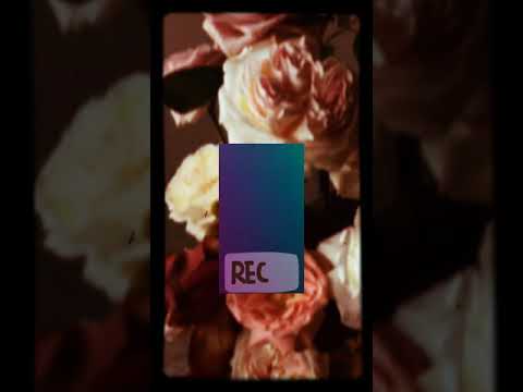 Başka türlü seviyorum ben seni - Şiir-Edibe Toğaç