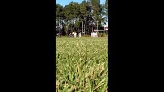 preview picture of video 'Men's Soccer: MGCCC vs Southwest CC - Kase Kingery free kick goal (2013)'