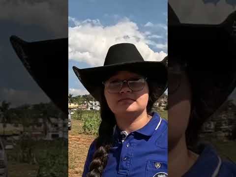 A CONCENTRAÇÃO DOS CARREIROS EM CONGONHAL-MG