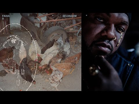 08. DJONGA • SELVAGEM
