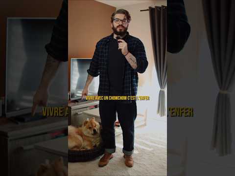 🇫🇷 VIVRE AVEC UN CHOW-CHOW, C’EST L'ENFZR 🐶#chowchow #dog #chien
