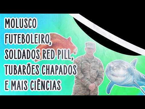 COMO CHAPAMOS TUBARÕES, BOMBAMOS SOLDADOS E HOMENAGEAMOS GOLEIROS | ABDUÇÃO