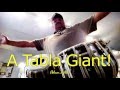 A TABLA GIANT! Dhira Bol usage by Ashwin Batish