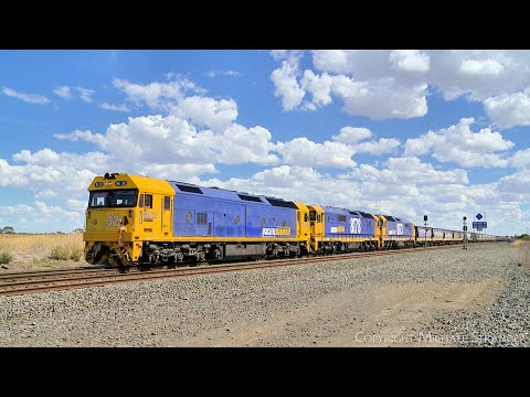 7736V Pacific National Grain Train Passing Through Gheringhap Loop (17/3/2024) - PoathTV Railways