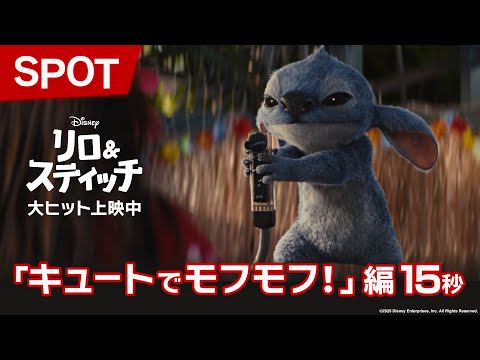 SPOT「キュートでモフモフ！」編15秒
