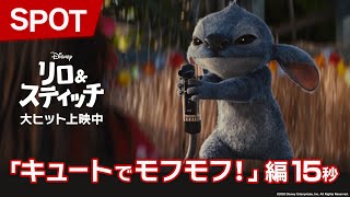 SPOT「キュートでモフモフ!」編15秒