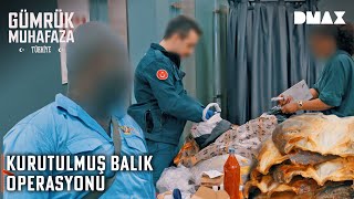 Valizinden Kurutulmuş Balık ve Çiğ Et Çıktı | Gümrük Muhafaza Türkiye