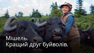 preview picture of video 'Мішель Якобі і його Карпатські буйволи · Ukraїner'