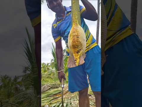 That's why fake honey should not be consumed.