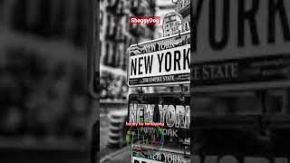 Download lagu HITS Klip Pendek | ShaggyDog | Honey | Story WA #shorts mp3