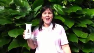 Nicky's Amazon Lily and Rainforest living room