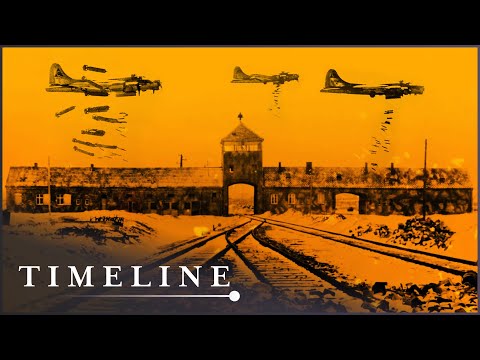 1944: When The US Wanted To Bomb Auschwitz | Should We Bomb Auschwitz? | Timeline