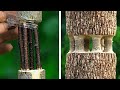 29 Fantastic Plant Hacks And DIY Gardening Ideas GARDEN GADGETS AND TOOLS