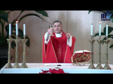 La Santa Misa de hoy | San Vicente, diácono y mártir | 22-01-2026 l Pbro. Javier Martín, FM