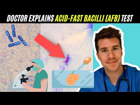 Doctor explains Acid-Fast Bacilli (AFB) test | Mycobacterium Tuberculosis (TB)