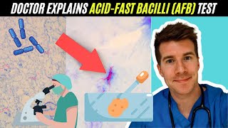 Doctor explains Acid-Fast Bacilli (AFB) test | Mycobacterium Tuberculosis (TB)