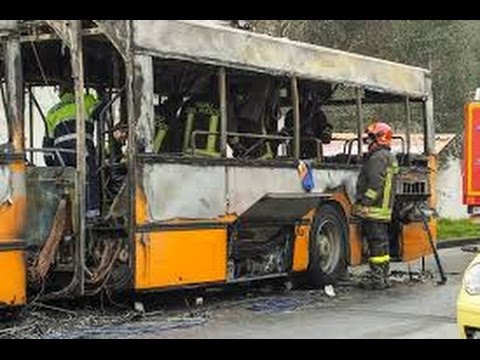 Tv7 con Voi del 16/02/2015 - Allarme Sicurezza (1 di 3)