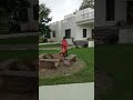 Mayar Ma Mandu Nathi Lagtu Viral Video ‍ ️‍