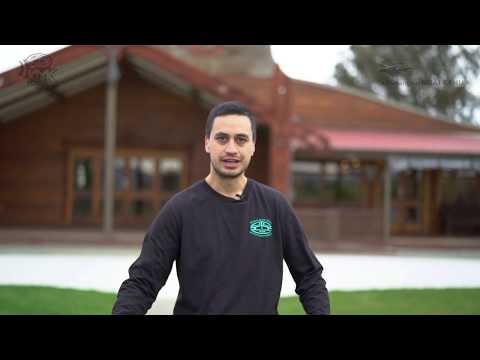 WAIATA Ā-RIKA: E tau taku manu