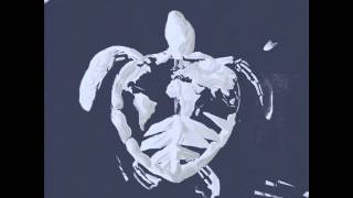 THANX 4 ALL THE SHOES - WALK THE PLANK