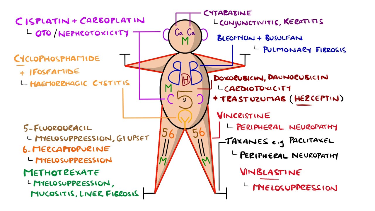 The Chemo Tox Man - Learn Chemotherapy Side Effects in 3 Minutes