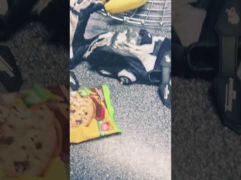 sanduíche de biscoito. #nz nova zelândia 🇳🇿