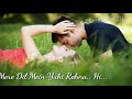 Aaye Ho Meri Zindagi Mein Tum Bahar Banke Watshapp Status 30 Second Video