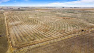 3 Deeded & 4 Crown Lease Quarters For Sale Near Scout Lake, SK - RM of Willow Bunch 42
