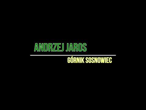 Andrzej Jaros - Górnik Sosnowiec