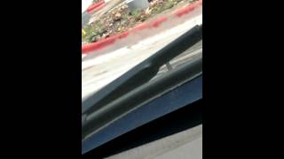 Ghetto Wasp drive by.