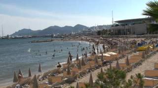 International Film & Video