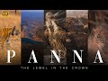 Panna National Park A Must Watch 12 Minutes Wildlife Documentary 4K