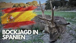 GOLDMEDAILLEN BOCK in Spanien auf 300 Meter!