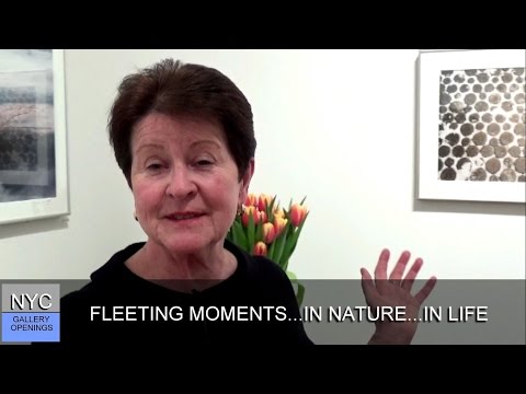 PLEIADES GALLERY - Greta Jaklitsch