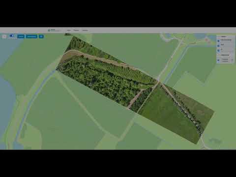 CHRIS - Real-time Stitching