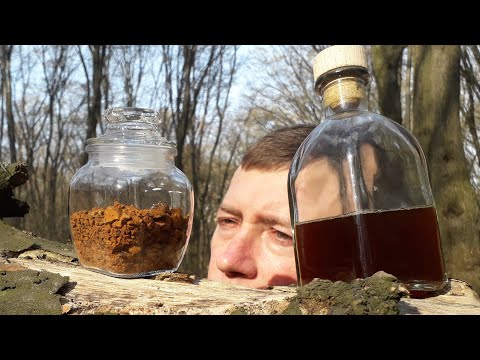 Гриб ЧАГА - 300 грамм, в виде порошка. - фото 4 - id-p2282095875