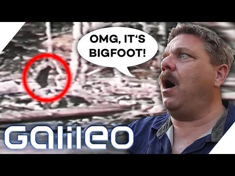 Auf den Spuren Bigfoots: Eine Nacht im Wald für 500 Dollar? | Galileo | ProSieben