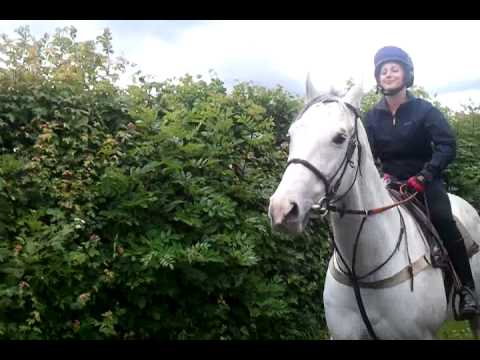 video-2011-06-18-13-02-08