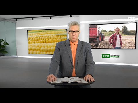 Crop failure in Poland – what is happening to agriculture?