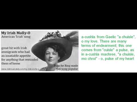 SG1028 My Irish Molly O