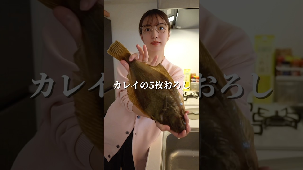 カレイの5枚おろし#カレイ#鰈 #離乳食#鮮魚#5枚おろし #釣り#釣りガール#魚　#魚料理