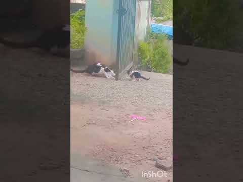 ummayum molum😘😘😘