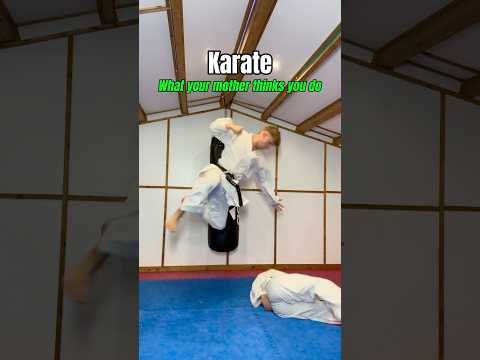 What everyone THINKS karate is…