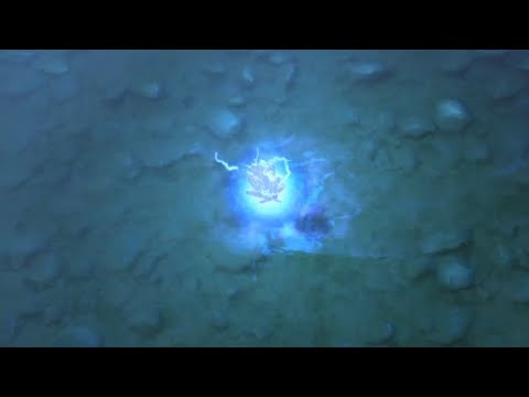 rune baiting monkey king