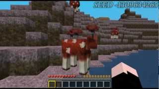 preview picture of video 'Minecraft Seed Pilzkuh Mooshroom Pilzbiom Mushroom Biome -1309634265 Seeds'