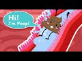 Biology What S In Our Digestive System Explained Human Body Science For Kids
