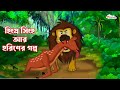 হিংস্র সিংহ আর হরিণের গল্প Rong Beronger Golpo Bangla Ca