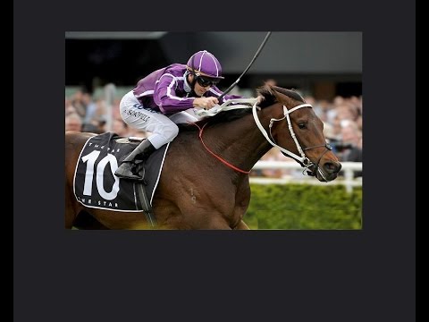2015 BRC Doomben 10000