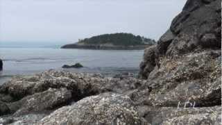 preview picture of video 'West Beach, Whidbey Island, Washington, USA.'