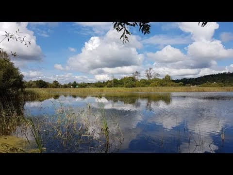 ПРОГУЛКА ПО ОДНОМУ ИЗ ПРИГОРОДОВ БЛАГОВЕЩЕНСКА